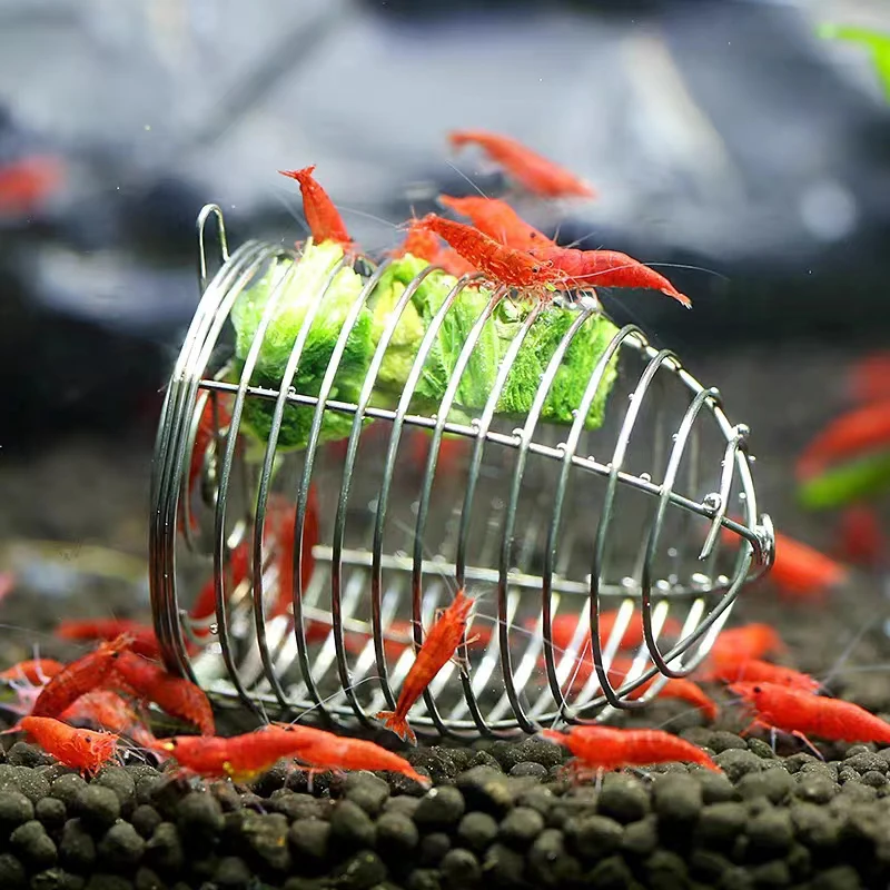 Aquarium Fish Trap - Aço inoxidável aquário pequeno alimentador de