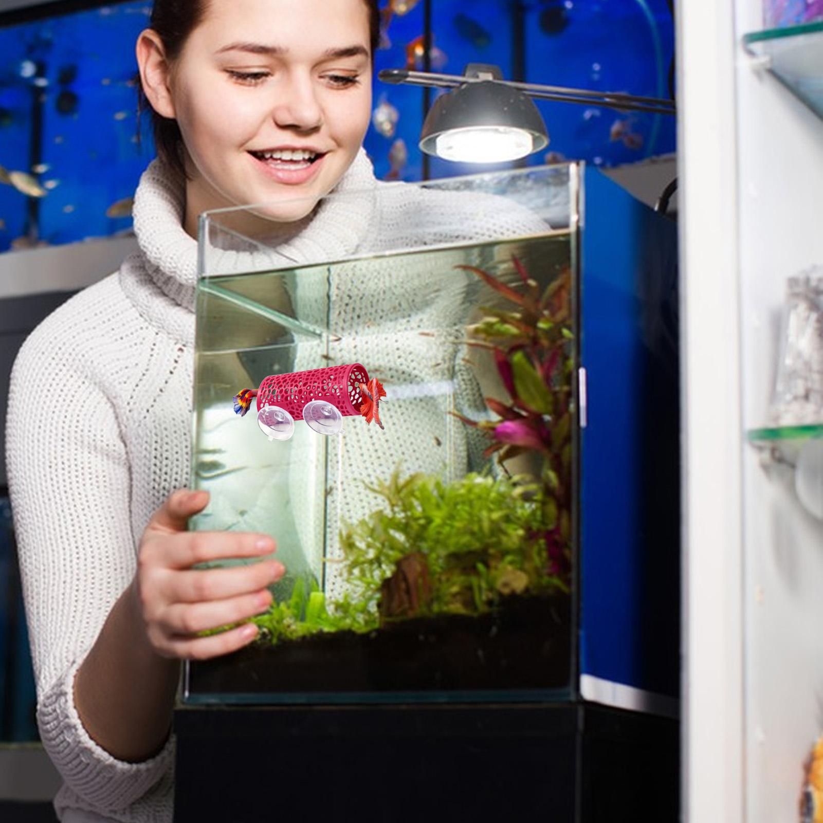 Aquarium Fish Cichlid - Abrigo de Descanso para Bettas, Ornamento