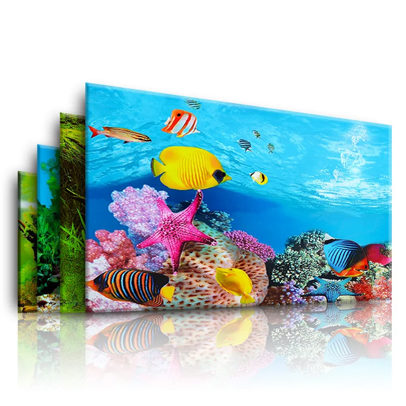 Aquarium Fish Cichlid - Fundo para aquário 3d adesivo cartaz