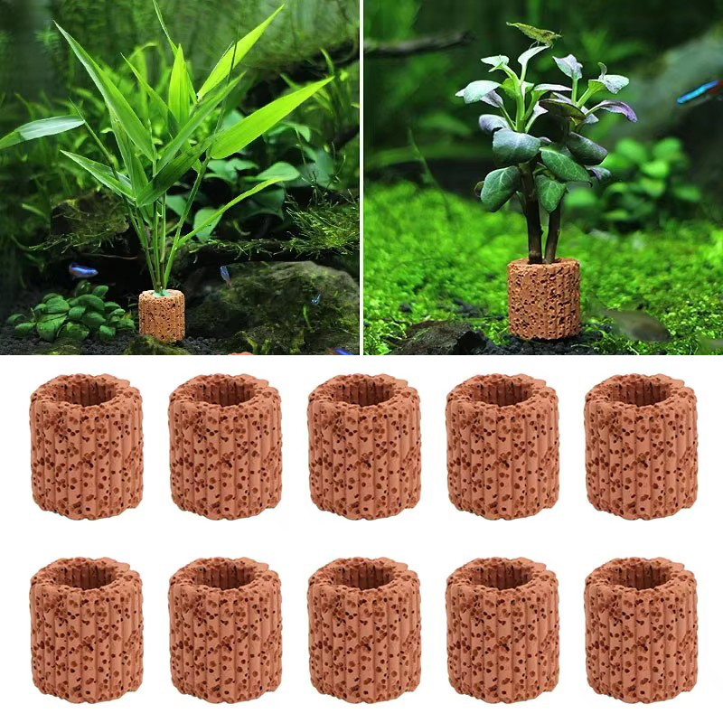 Aquarium Fish Cichlid - Anel fixo de planta aquática para