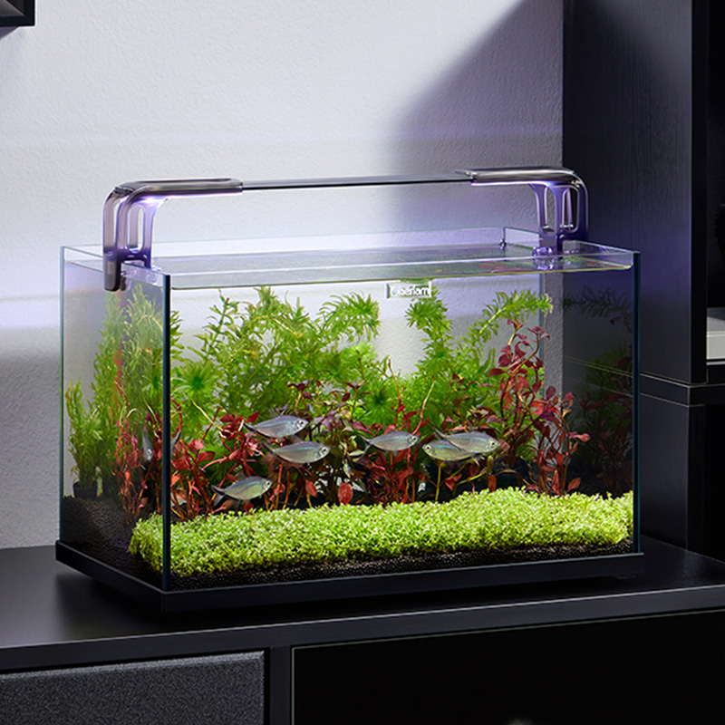 Aquarium Xxl - Aquário de Mesa de Vidro Ultra
