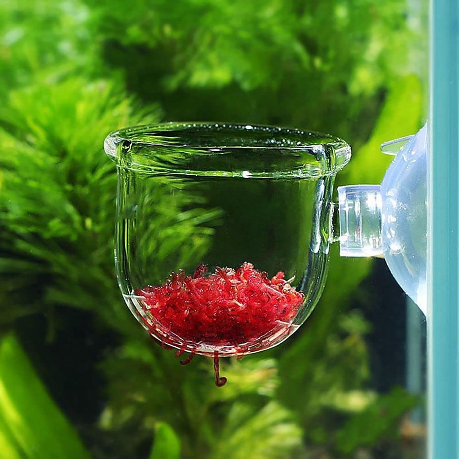 Aquarium Fish Beautiful - Suporte para Plantas de Aquário em