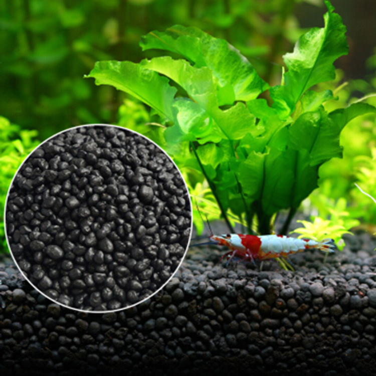 Aquarium Fish Price - Solo para plantas do tanque de