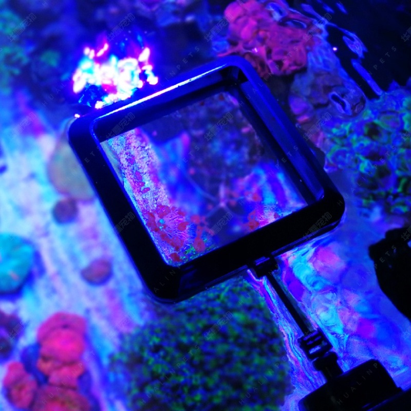 VASTOCEAN Anel de Alimentação  - Aquarium Fish Price avaliação e preço