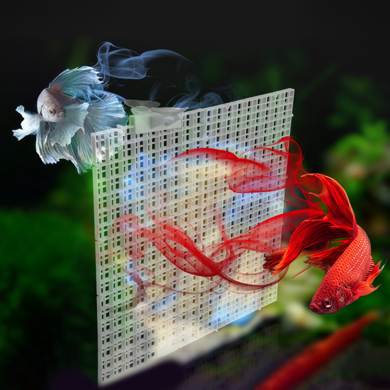Placa divisória para isolament - Aquarium Fish Trap avaliação e preço