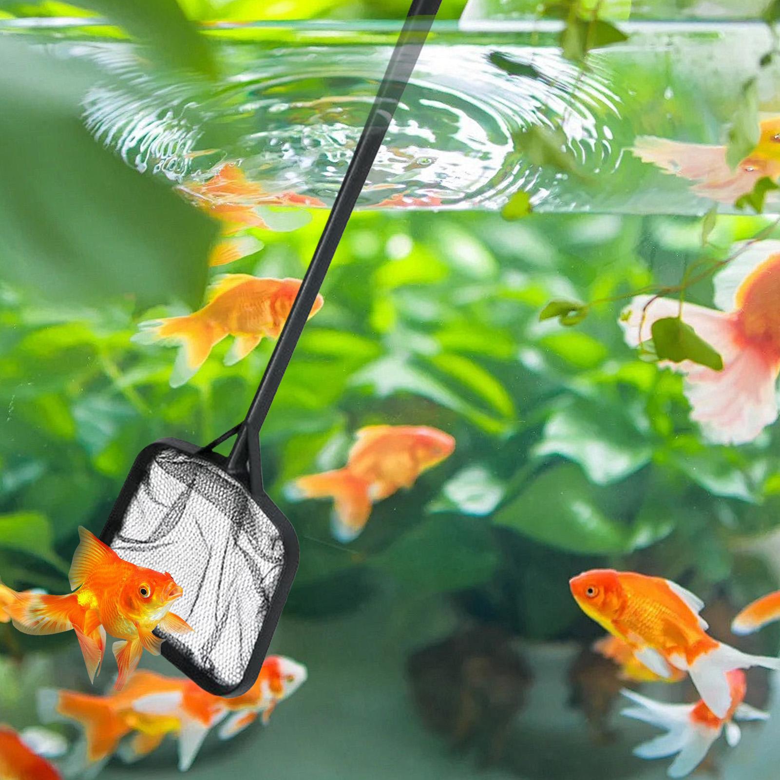 Redes para Limpeza de Piscinas - Aquarium Fish Trap avaliação e preço