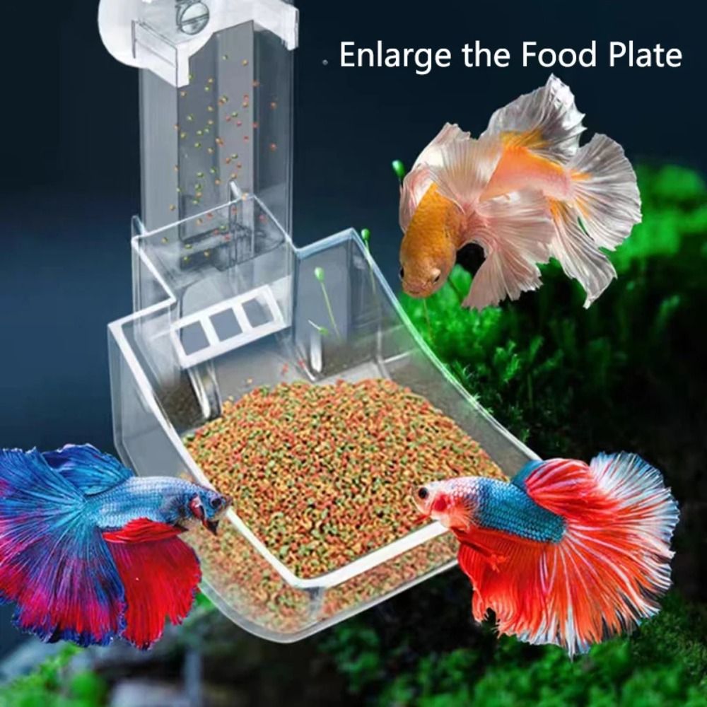 Novo transparente aquário tanq - Aquarium Fish Price avaliação e preço
