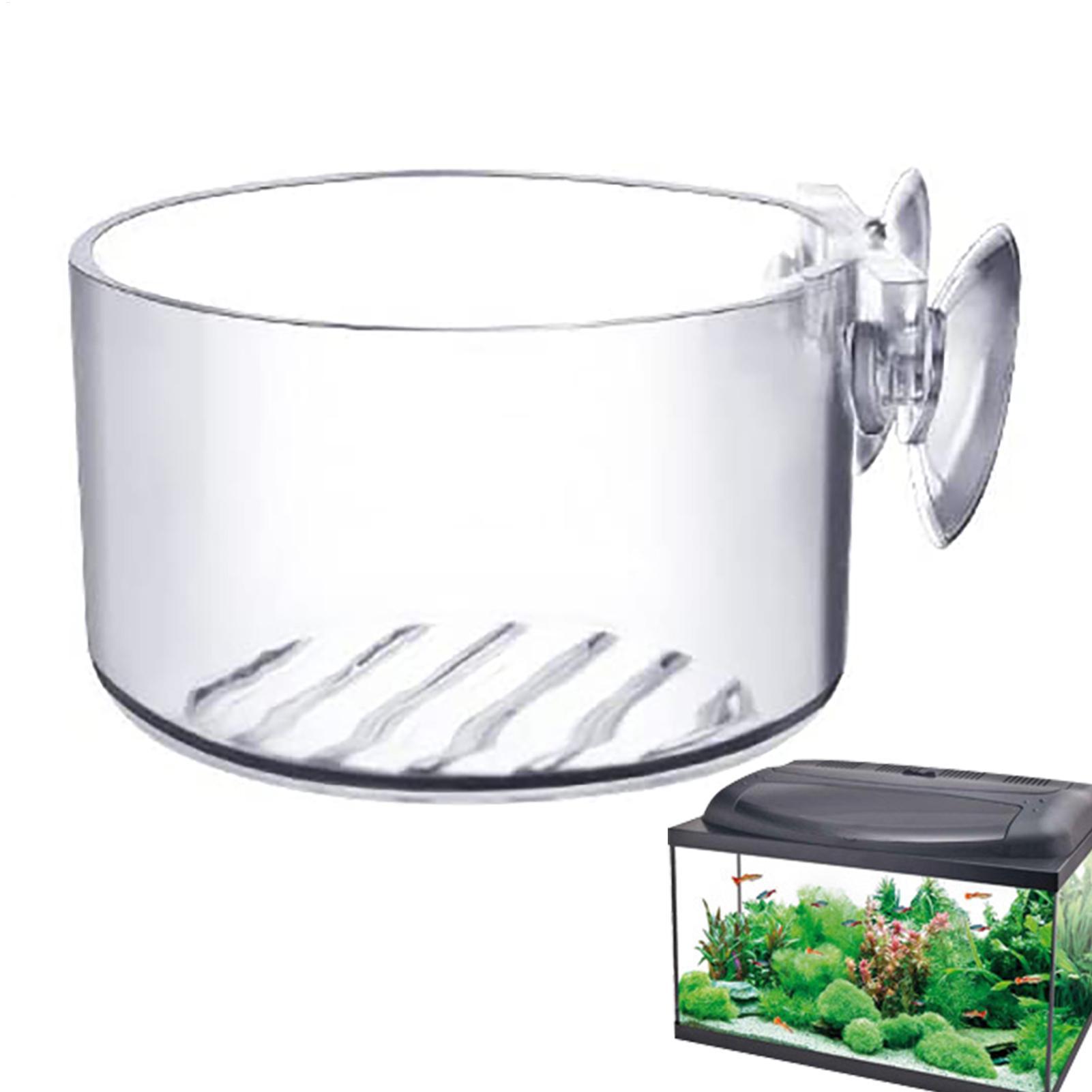Copo de acrílico para plantas  - Aquarium Fish Beautiful avaliação e preço