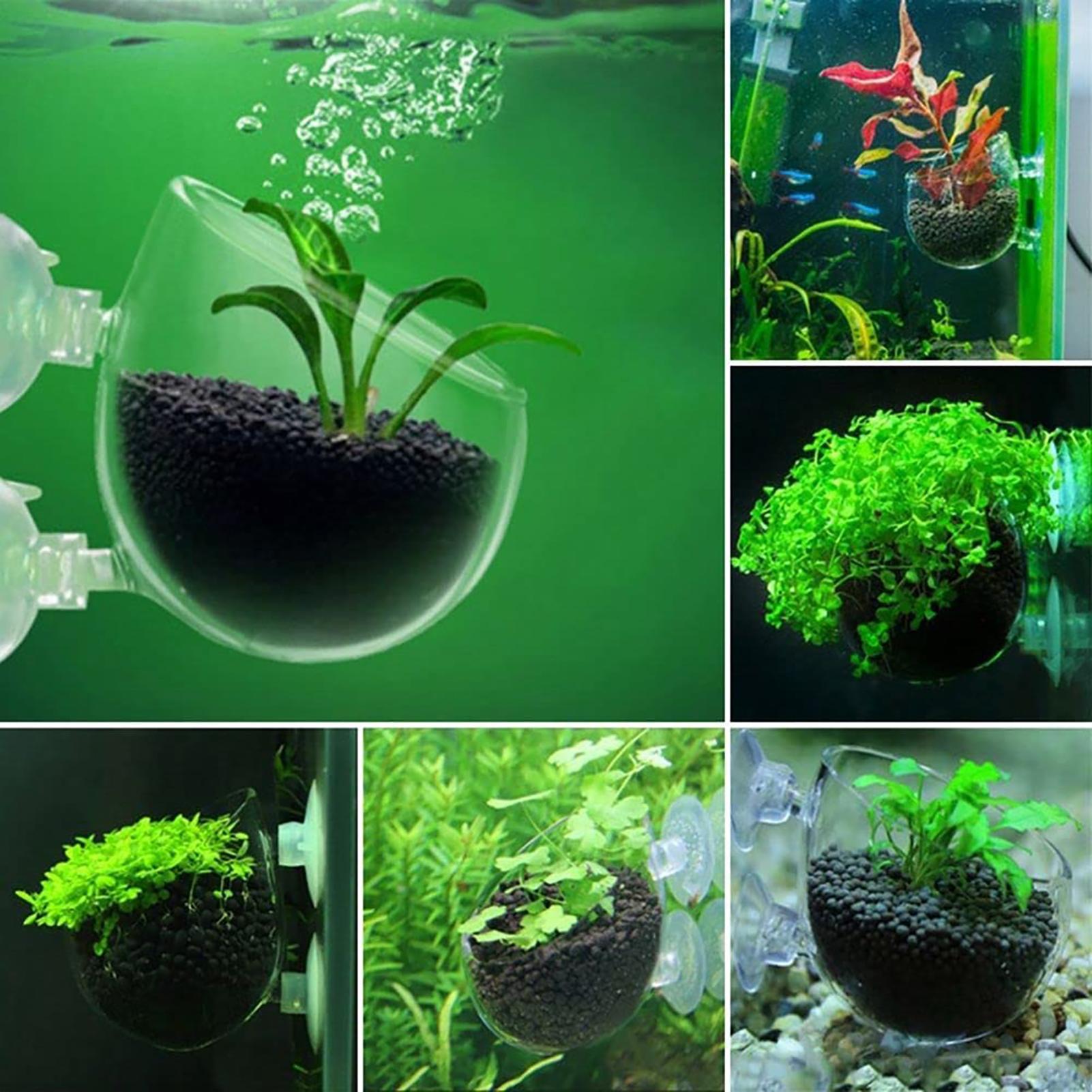 Copo de acrílico para plantas  - Aquarium Fish Beautiful avaliação e preço