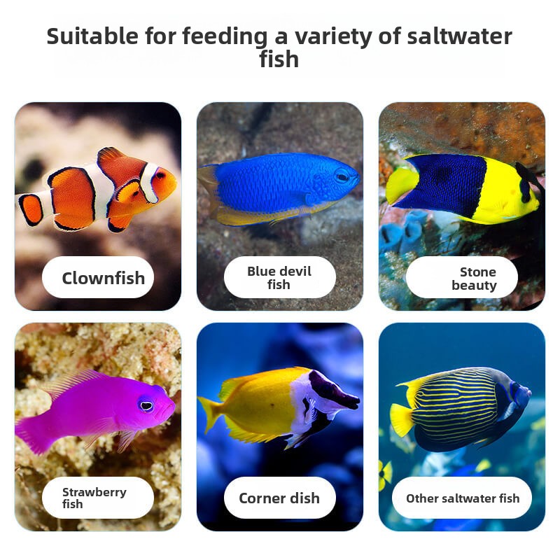 DEERA Clownfish e comida Tang  - Aquarium Fish Price avaliação e preço