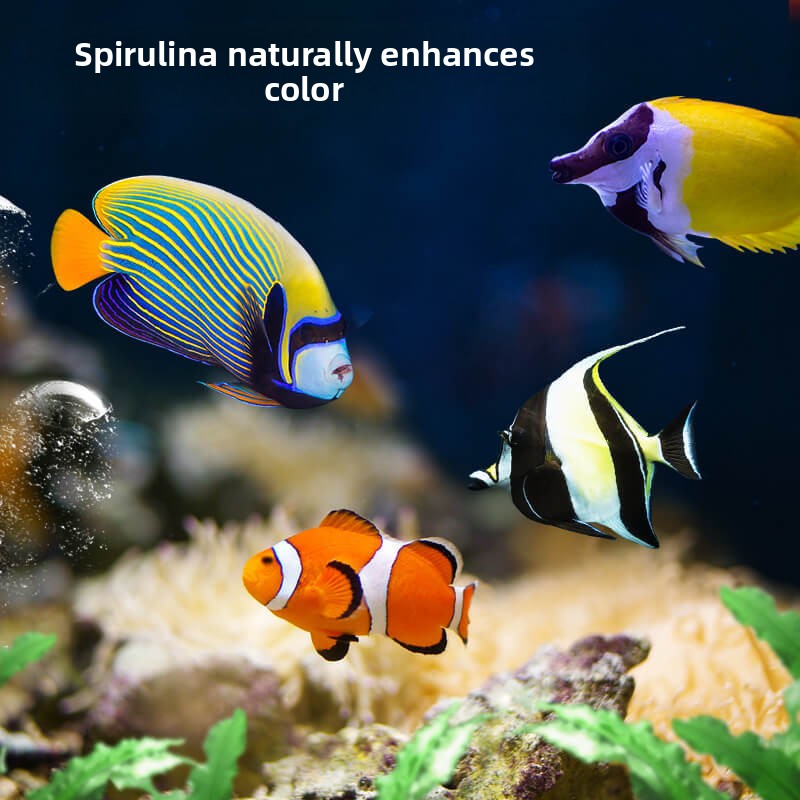 DEERA Clownfish e comida Tang  - Aquarium Fish Price avaliação e preço