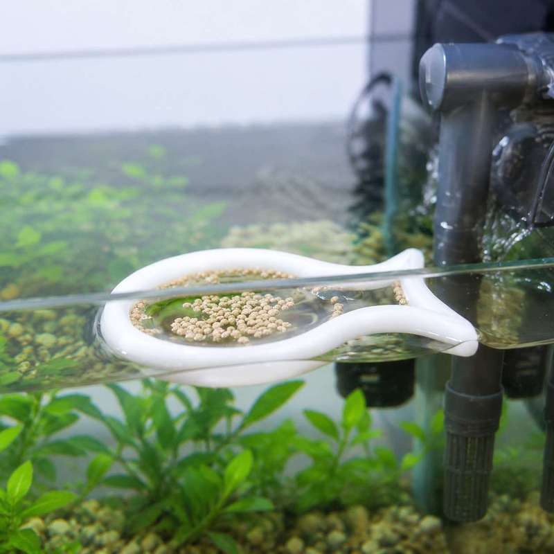 Anel Flutuante em Forma de Pei - Aquarium Fish Price avaliação e preço