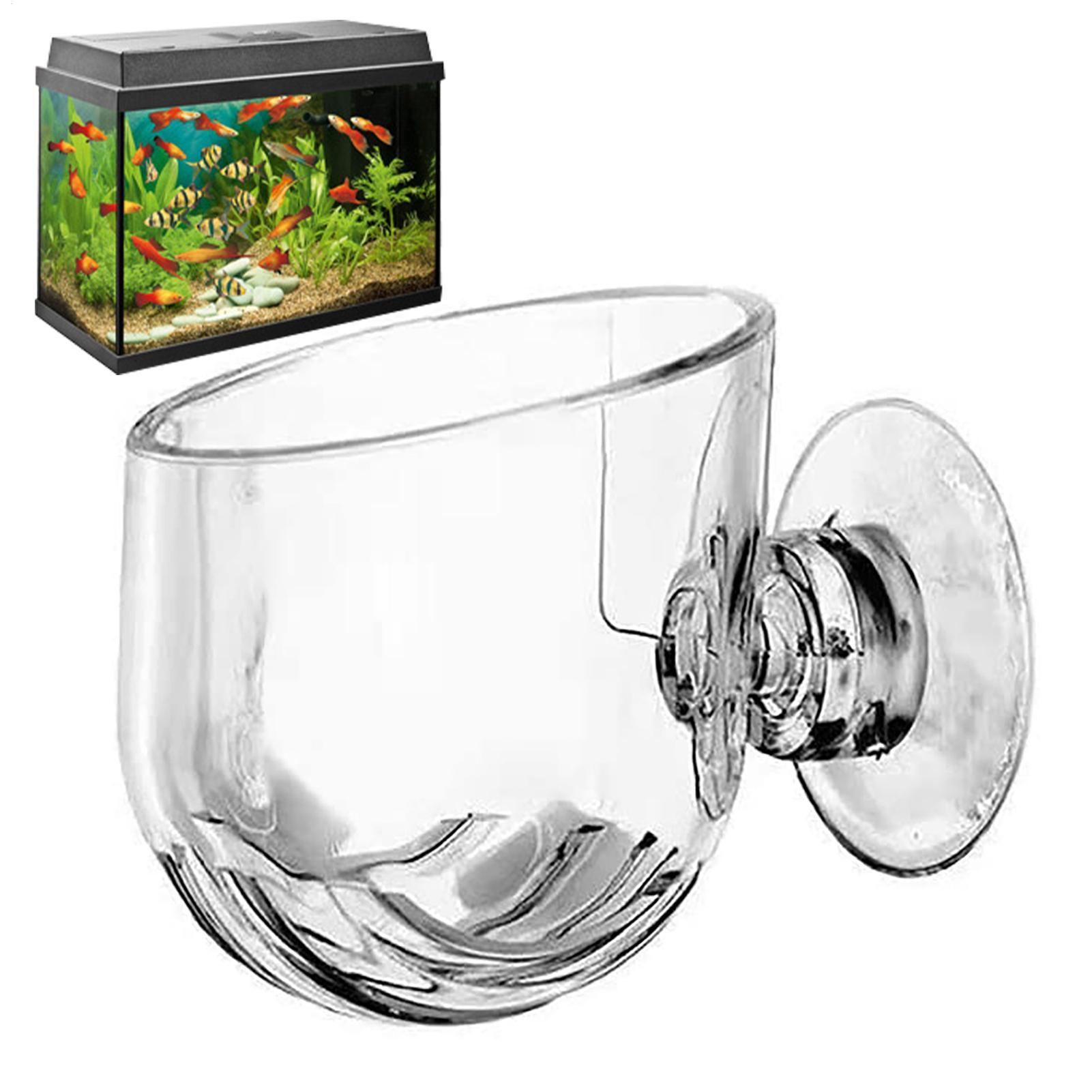 Vasos de acrílico para plantas - Aquarium Fish Beautiful avaliação e preço