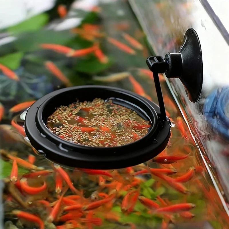 1/3 Peças Anel Alimentador de  - Aquarium Fish Price avaliação e preço