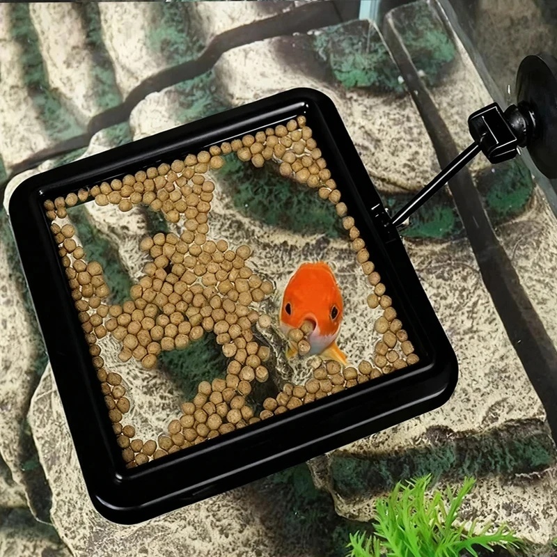 1/3 Peças Anel Alimentador de  - Aquarium Fish Price avaliação e preço
