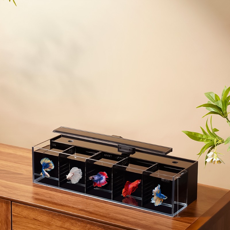 Aquário Douyu combinação multi - Aquarium Fish Beautiful avaliação e preço
