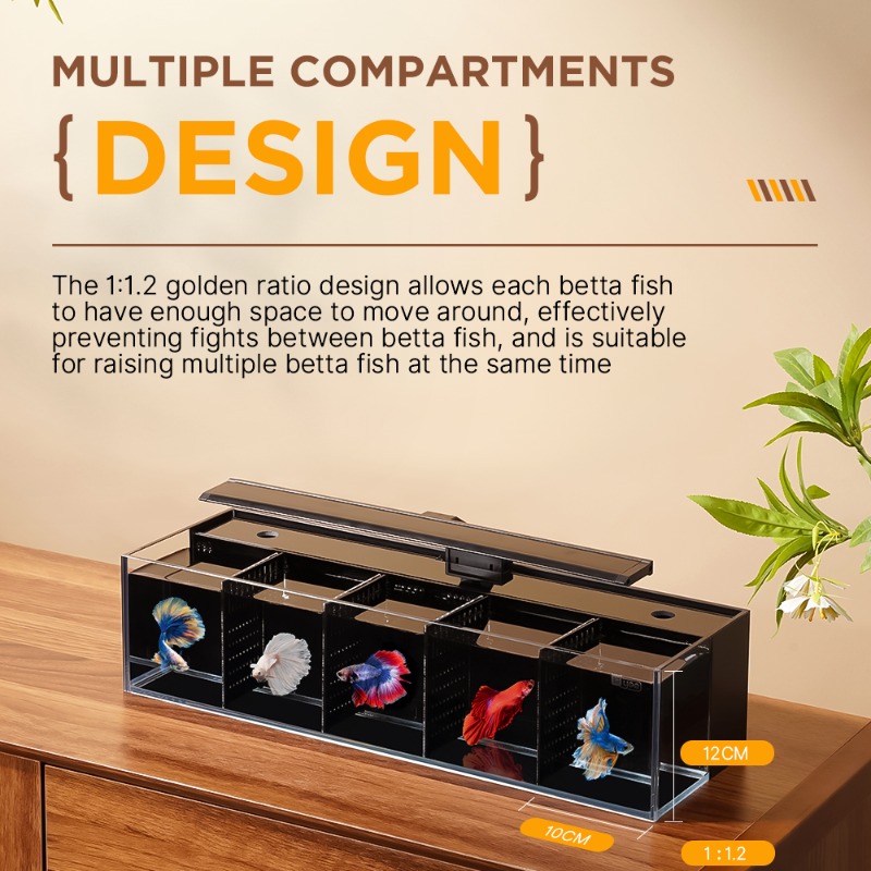 Aquário Douyu combinação multi - Aquarium Fish Beautiful avaliação e preço