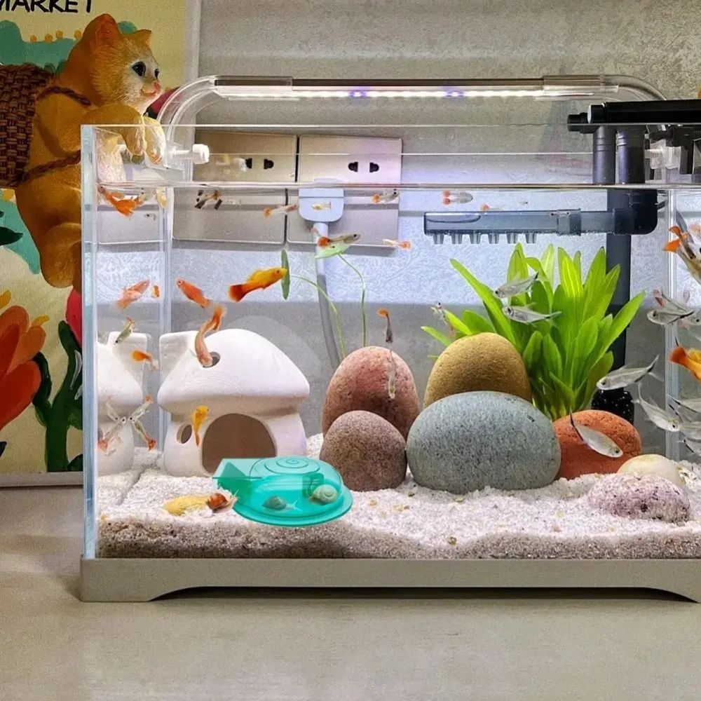 Armadilha para Caracóis de Aqu - Aquarium Fish Trap avaliação e preço