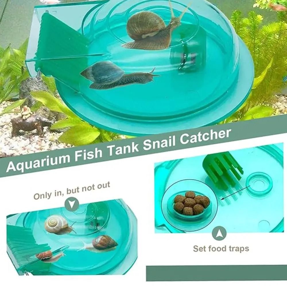 Armadilha para Caracóis de Aqu - Aquarium Fish Trap avaliação e preço