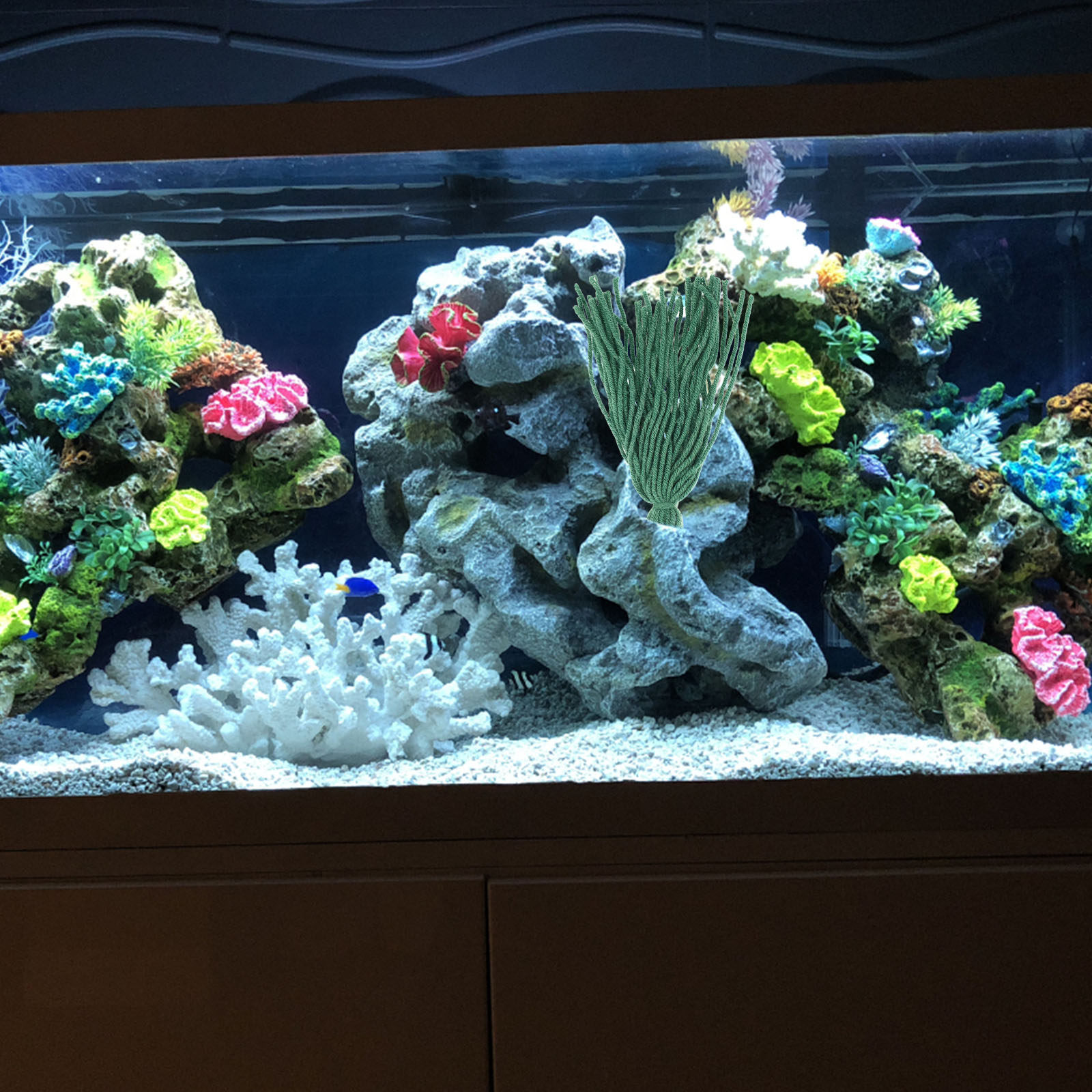10 peças de acessórios para re - Aquarium Fish Hiding Spot avaliação e preço