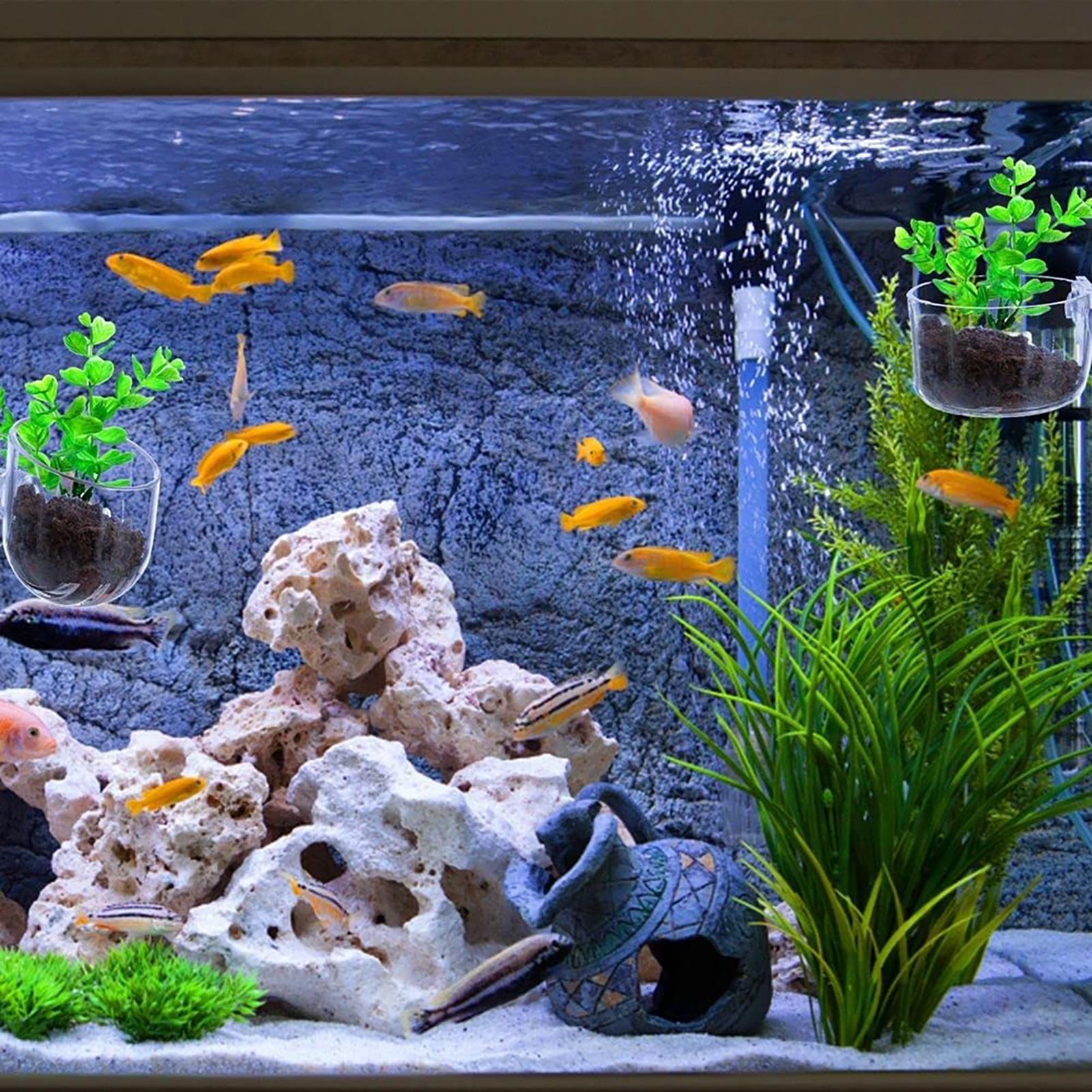 Suporte para Plantas de Aquári - Aquarium Fish Beautiful avaliação e preço