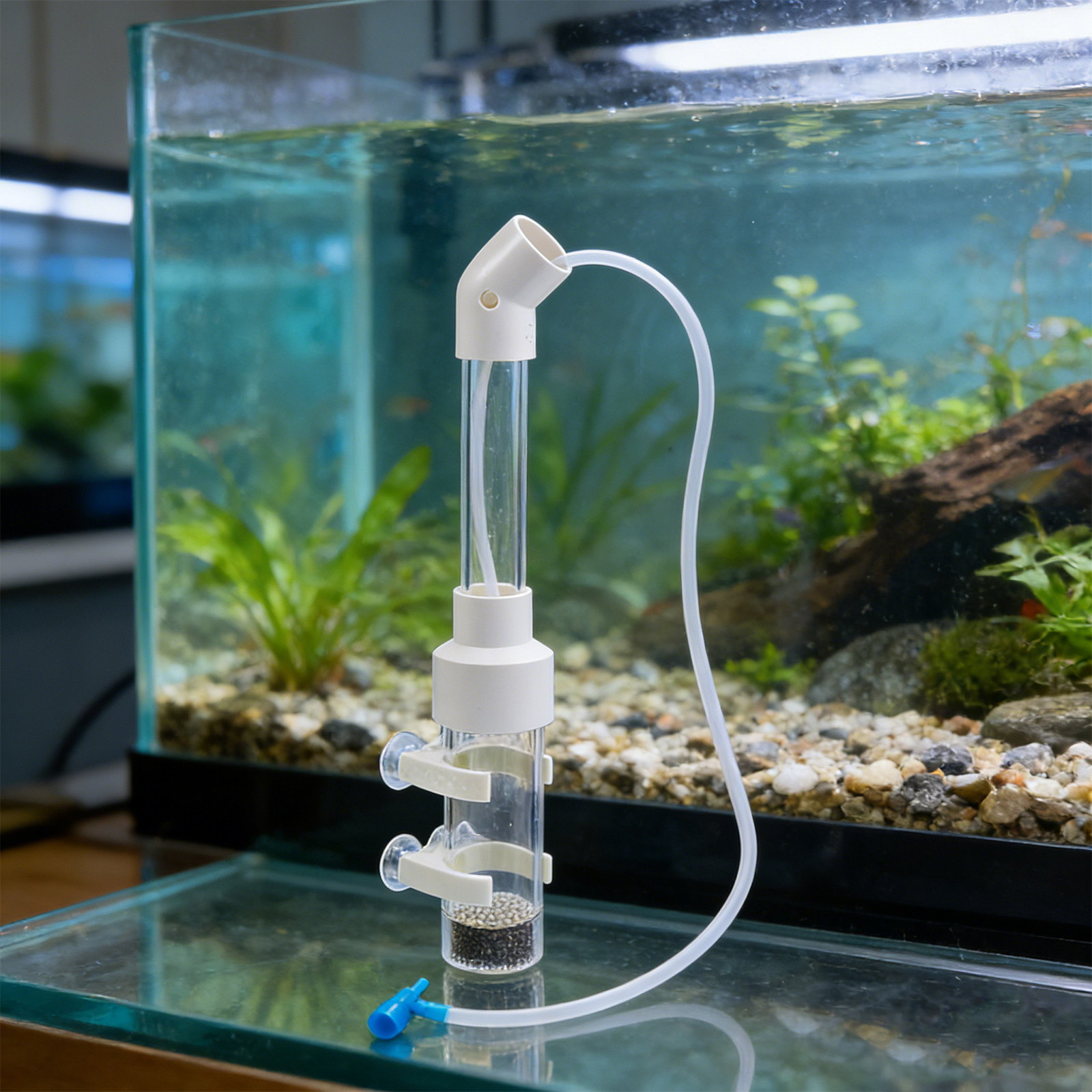 2 conjuntos de kit incubador a - Aquarium Fish Cichlid avaliação e preço