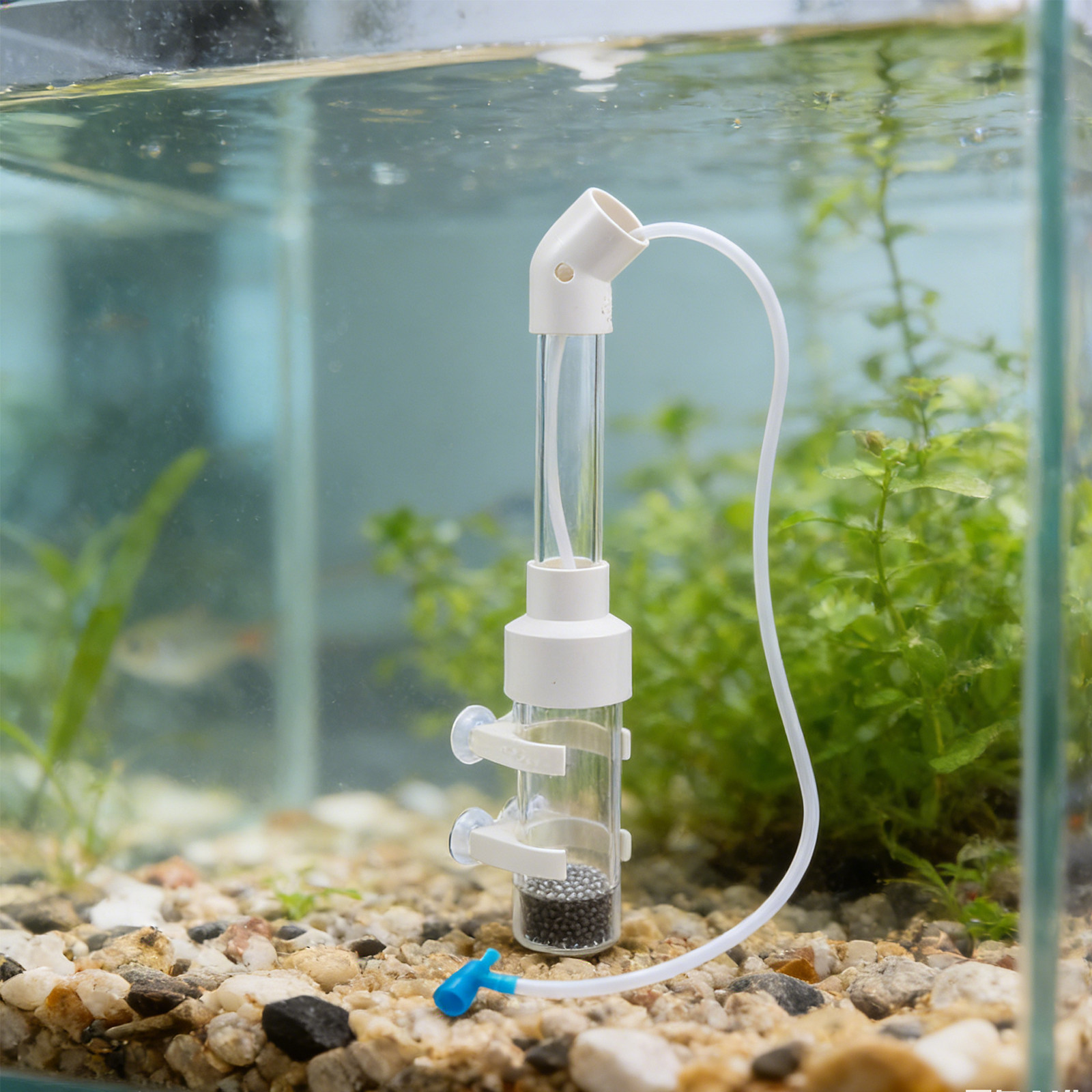 2 conjuntos de kit incubador a - Aquarium Fish Cichlid avaliação e preço