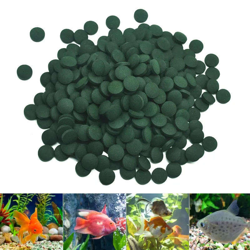 50-300 pçs comprimidos de spir - Aquarium Fish Price avaliação e preço