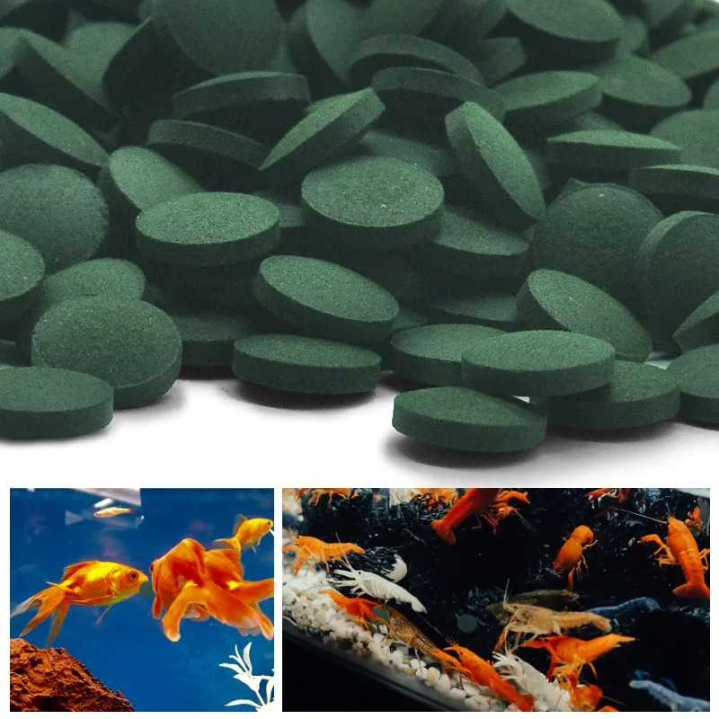 50-300 pçs comprimidos de spir - Aquarium Fish Price avaliação e preço