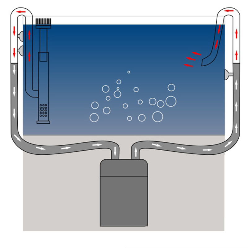 Aço inoxidável Inflow Outflow  - Aquarium Fish Price avaliação e preço