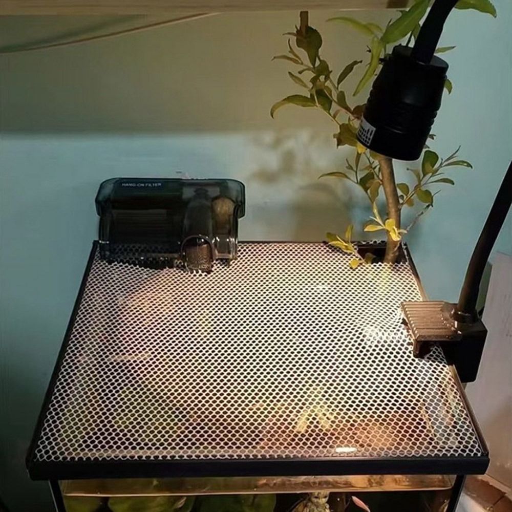 Tampa Magnética Durável para A - Aquarium Fish Trap avaliação e preço