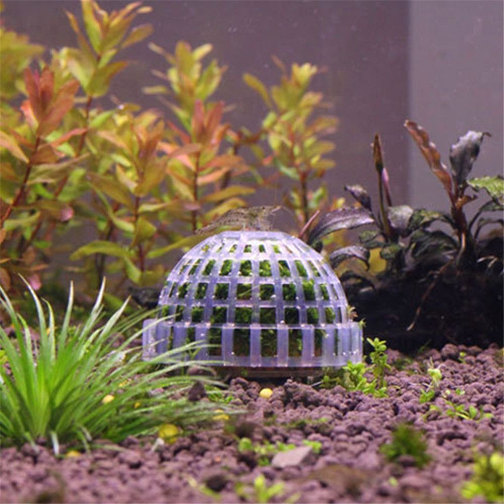 Nova suspensão de plástico mus - Aquarium Fish Cichlid avaliação e preço